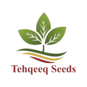 cropped 1111 removebg preview.png