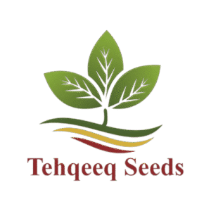 cropped 1111 removebg preview.png